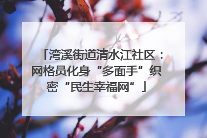 湾溪街道清水江社区：网格员化身“多面手”织密“民生幸福网”