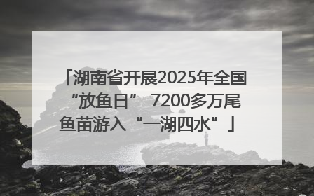 湖南省开展2025年全国“放鱼日” 7200多万尾鱼苗游入“一湖四水”
