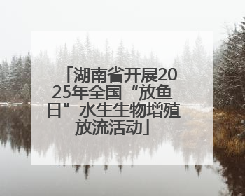 湖南省开展2025年全国“放鱼日”水生生物增殖放流活动