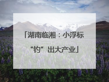 湖南临湘：小浮标“钓”出大产业