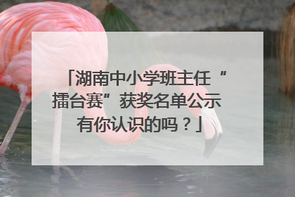 湖南中小学班主任“擂台赛”获奖名单公示 有你认识的吗？