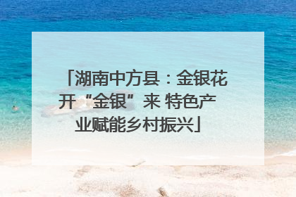 湖南中方县：金银花开“金银”来 特色产业赋能乡村振兴