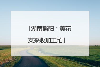 湖南衡阳：黄花菜采收加工忙
