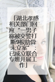 湖北孝感相关部门回应“一男子称被交警打断9根肋骨未立案”：已成立联合专班开展工作
