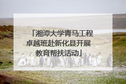 湘潭大学青马工程卓越班赴新化县开展教育帮扶活动