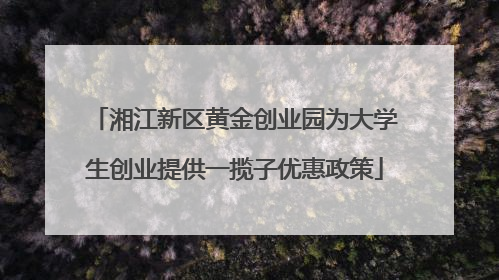 湘江新区黄金创业园为大学生创业提供一揽子优惠政策
