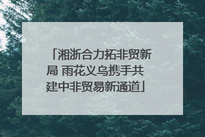 湘浙合力拓非贸新局 雨花义乌携手共建中非贸易新通道
