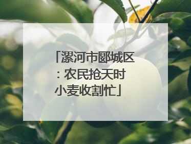 漯河市郾城区：农民抢天时 小麦收割忙