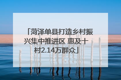 菏泽单县打造乡村振兴集中推进区 惠及十村2.14万群众