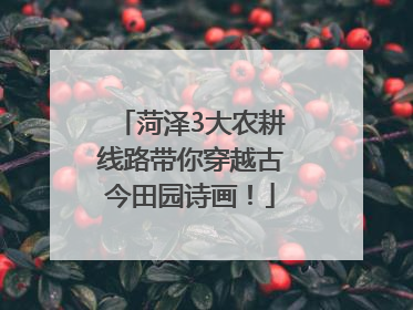 菏泽3大农耕线路带你穿越古今田园诗画！
