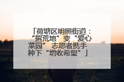 荷塘区明照街道：“撂荒地”变“爱心菜园” 志愿者携手种下“增收希望”