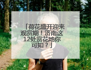 荷花盛开迎来观赏期！济南这12处赏花地你可知？