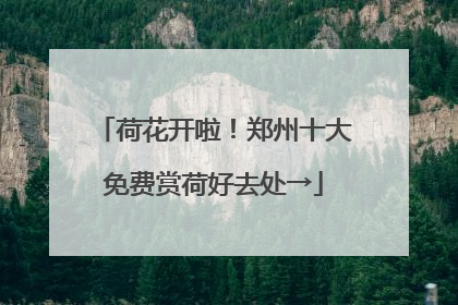 荷花开啦！郑州十大免费赏荷好去处→