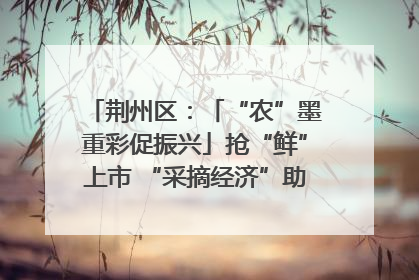 荆州区：「“农”墨重彩促振兴」抢“鲜”上市 “采摘经济”助农“甜蜜增收”