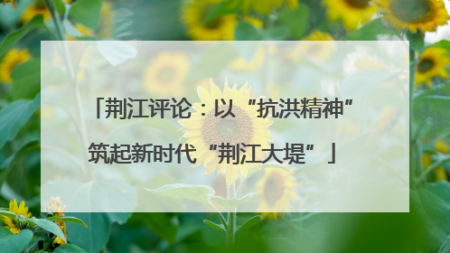 荆江评论：以“抗洪精神”筑起新时代“荆江大堤”