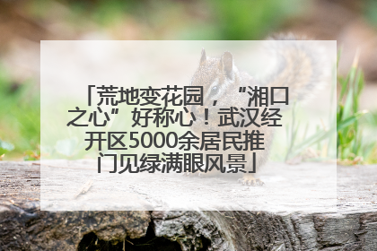 荒地变花园，“湘口之心”好称心！武汉经开区5000余居民推门见绿满眼风景