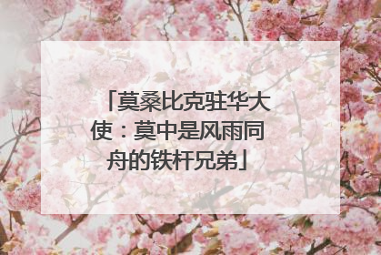 莫桑比克驻华大使：莫中是风雨同舟的铁杆兄弟