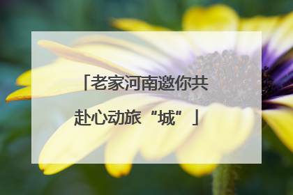 老家河南邀你共赴心动旅“城”