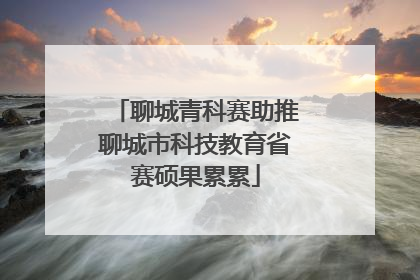 聊城青科赛助推聊城市科技教育省赛硕果累累