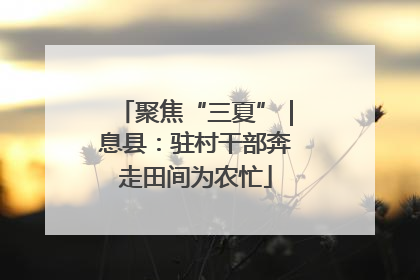 聚焦“三夏”｜息县：驻村干部奔走田间为农忙