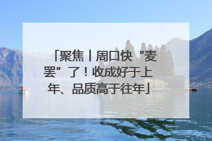 聚焦丨周口快“麦罢”了！收成好于上年、品质高于往年