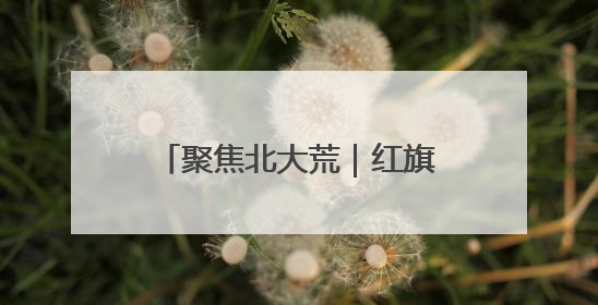 聚焦北大荒｜红旗岭农场：以演练促提升 筑牢平安基石