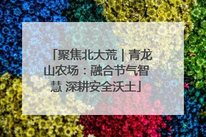 聚焦北大荒｜青龙山农场：融合节气智慧 深耕安全沃土