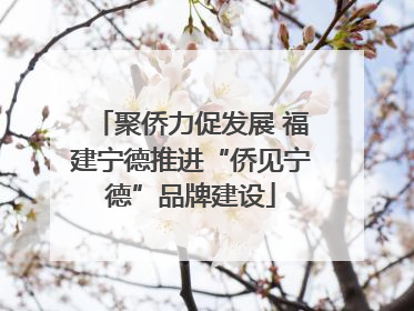 聚侨力促发展 福建宁德推进“侨见宁德”品牌建设
