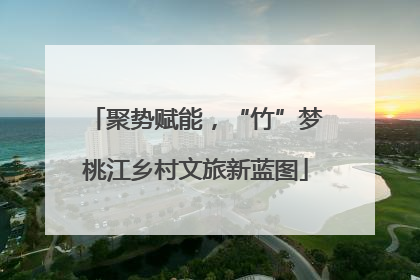 聚势赋能，“竹”梦桃江乡村文旅新蓝图