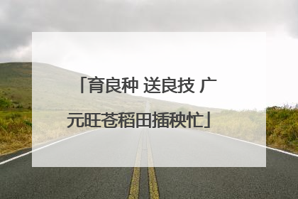 育良种 送良技 广元旺苍稻田插秧忙