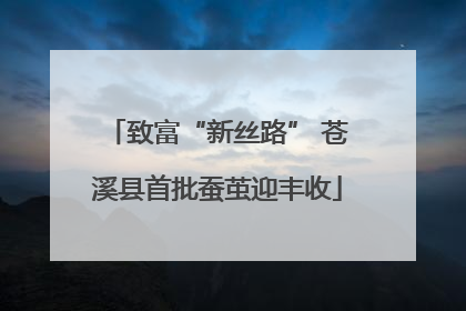 致富“新丝路” 苍溪县首批蚕茧迎丰收