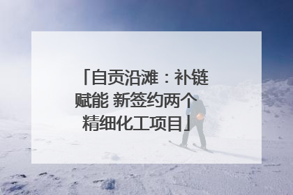 自贡沿滩：补链赋能 新签约两个精细化工项目