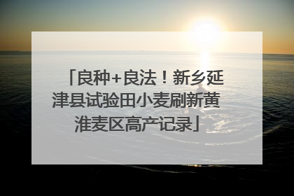 良种+良法！新乡延津县试验田小麦刷新黄淮麦区高产记录