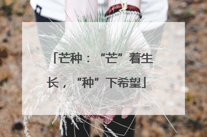 芒种：“芒”着生长，“种”下希望