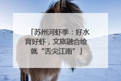 苏州河虾季：好水育好虾，文旅融合绘就“舌尖江南”