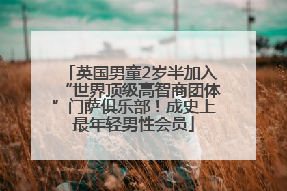 英国男童2岁半加入“世界顶级高智商团体”门萨俱乐部！成史上最年轻男性会员