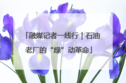融媒记者一线行｜石油老厂的“绿”动革命