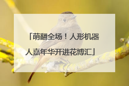 萌翻全场！人形机器人嘉年华开进花博汇