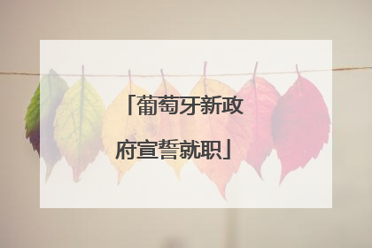 葡萄牙新政府宣誓就职
