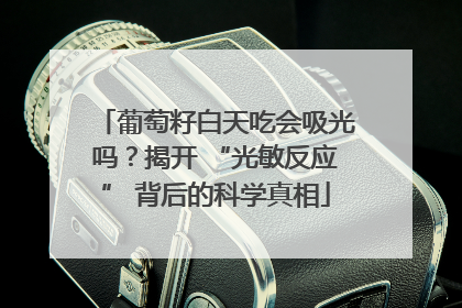 葡萄籽白天吃会吸光吗？揭开 “光敏反应” 背后的科学真相