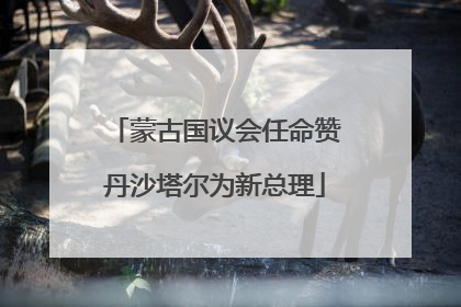 蒙古国议会任命赞丹沙塔尔为新总理