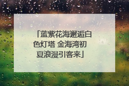 蓝紫花海邂逅白色灯塔 金海湾初夏浪漫引客来