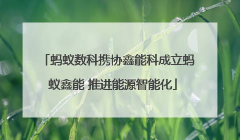 蚂蚁数科携协鑫能科成立蚂蚁鑫能 推进能源智能化