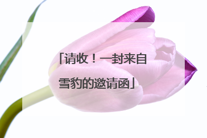请收！一封来自雪豹的邀请函