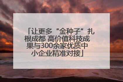 让更多“金种子”扎根成都 高价值科技成果与300余家优质中小企业精准对接