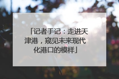 记者手记：走进天津港，窥见未来现代化港口的模样