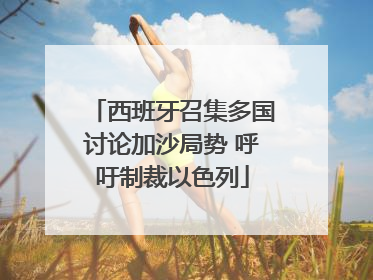 西班牙召集多国讨论加沙局势 呼吁制裁以色列