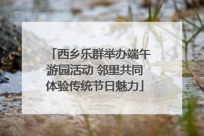 西乡乐群举办端午游园活动 邻里共同体验传统节日魅力