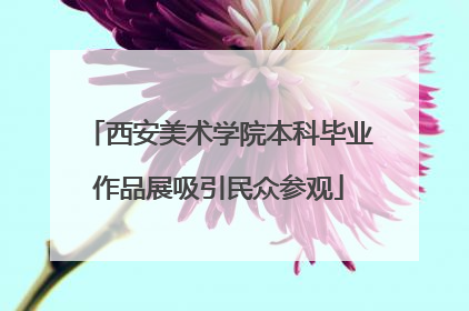 西安美术学院本科毕业作品展吸引民众参观