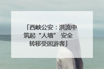 西峡公安：洪流中筑起“人墙” 安全转移受困游客